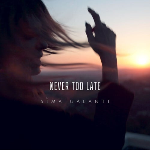Never Too Late