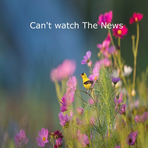 Can't watch The News