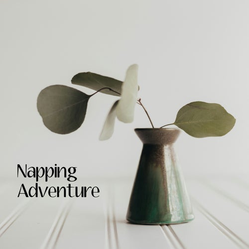 Napping Adventure