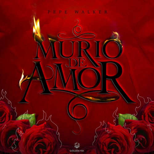 Murió de Amor