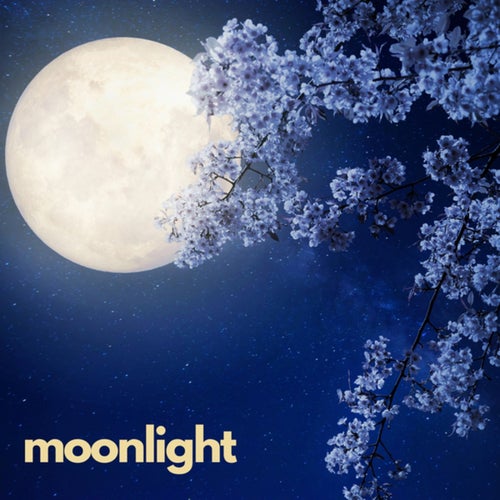 Moonlight