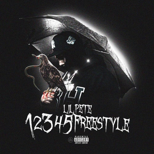 12345 Freestyle