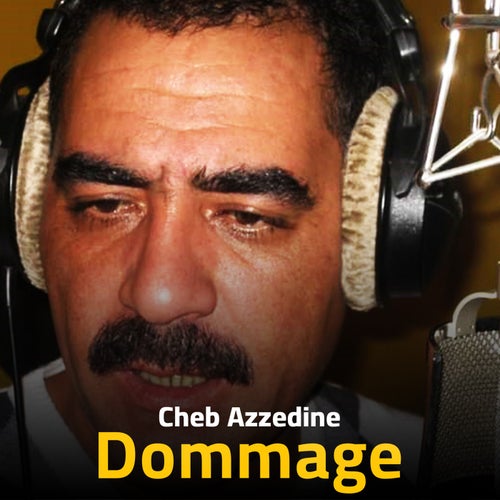 Dommage