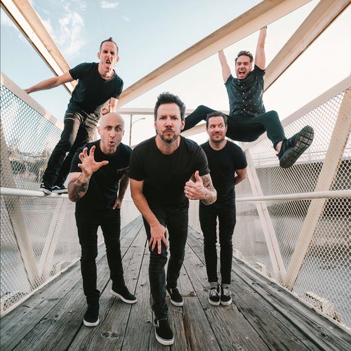 Simple Plan Profile