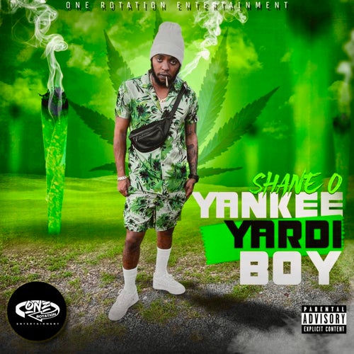 Yankee Yardi Boy