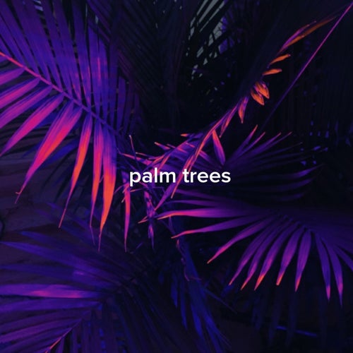 Palm Trees