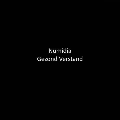 Gezond Verstand