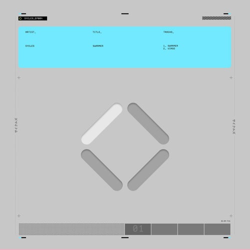 SWARMER