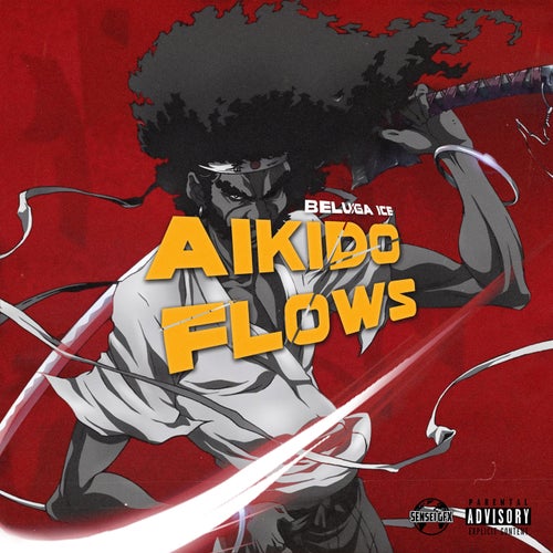 Aikido Flows