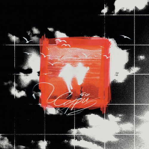 Release of the week