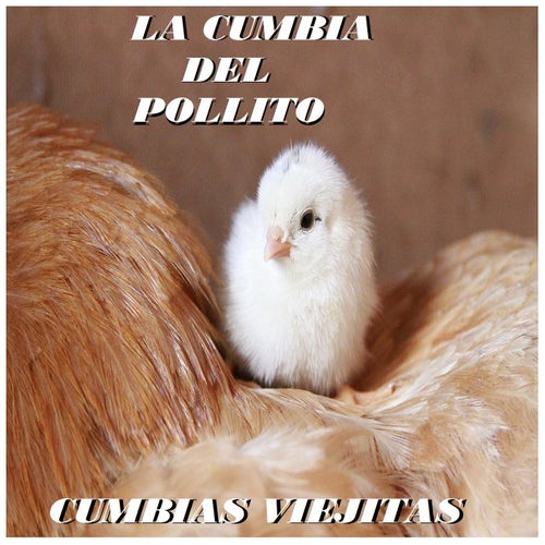 La Cumbia Del Pollito