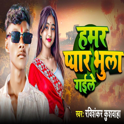 Hamar Pyar Bhula Gaile