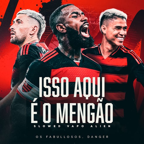 Isso Aqui É O Mengão (Slowed Vapo Alien)