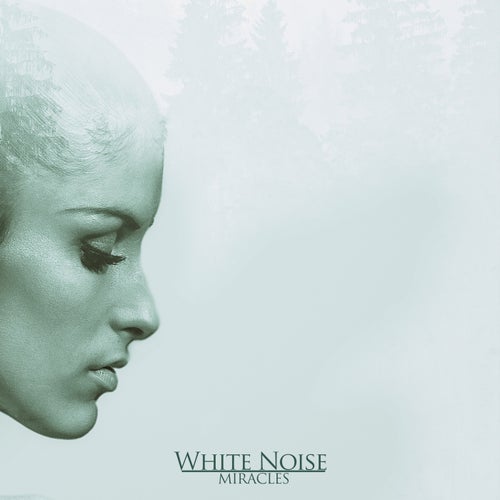 Dreams (White Noise Sleep Sounds)