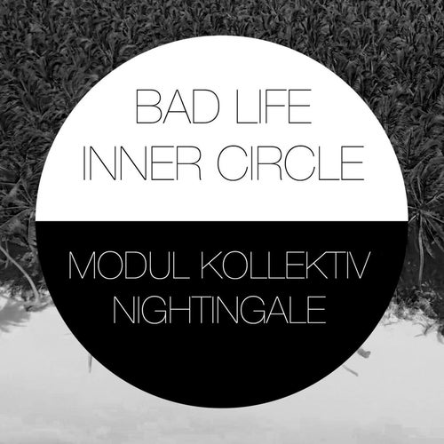 Modul Kollektiv Profile