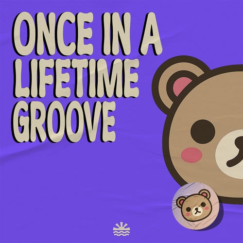 Once In A Lifetime Groove