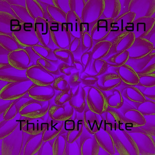 Release of the week