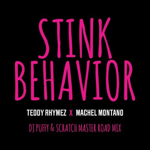 Stink Behavior (DJ Puffy & Scratch Master Road Mix)