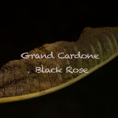 Black Rose