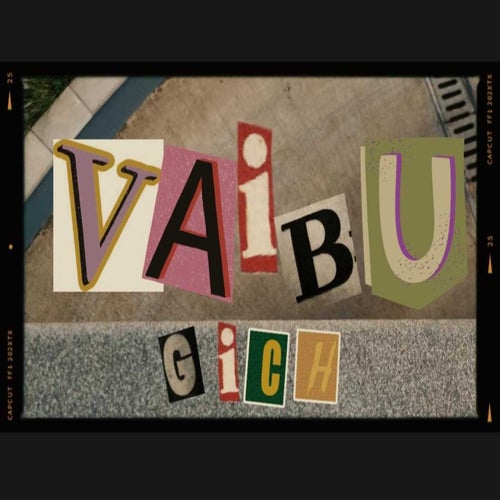 Vaibu