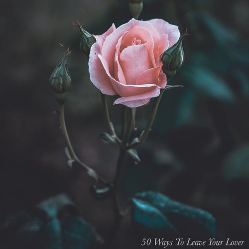 50 Ways To Leave Your Lover