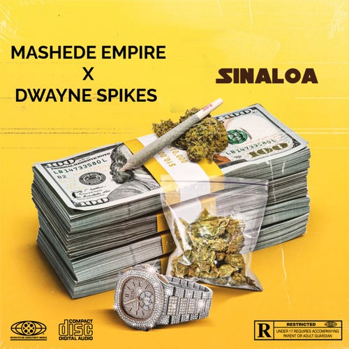 SINALOA (feat. Mashede empire)