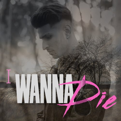 I Wanna Die