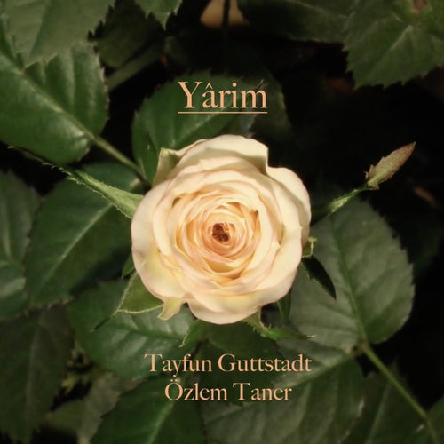 Yârim