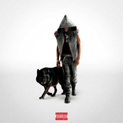 Release of the week