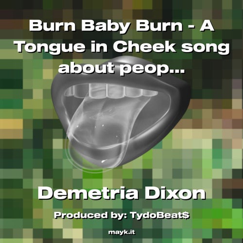 Burn Baby Burn - A Tongue in Cheek song about people who advocate burning books