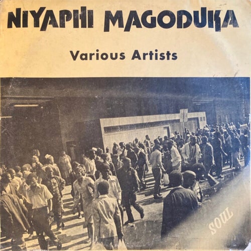 Niyaphi Magoduka