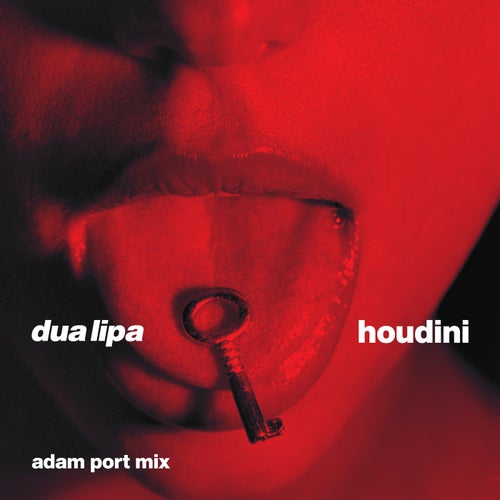 Houdini (Adam Port Mix) [Extended]