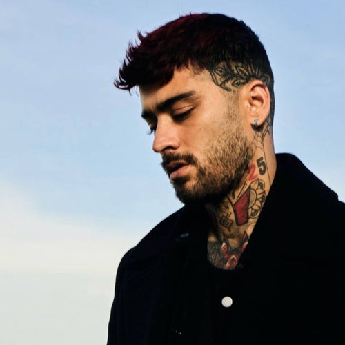 ZAYN Profile