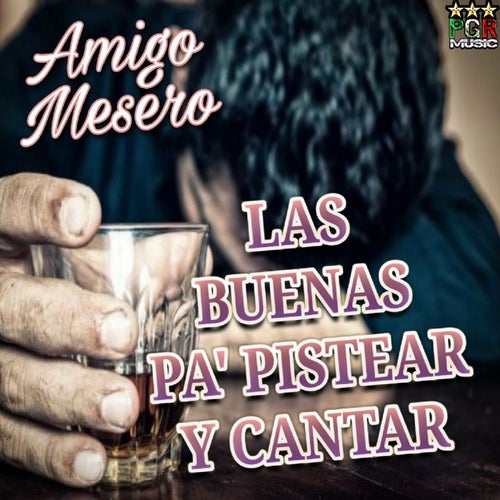 Amigo Mesero