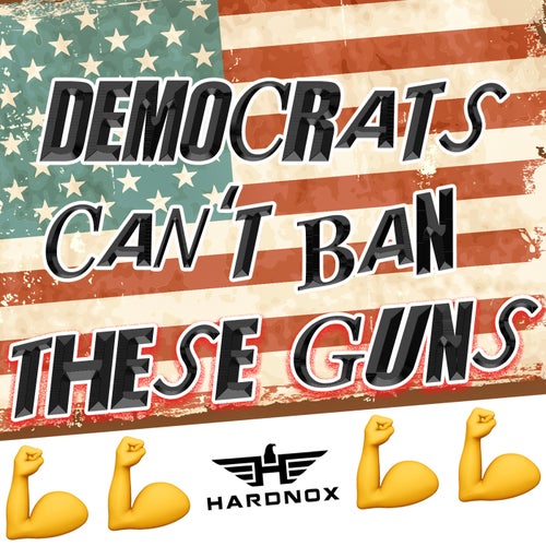 Democrats Can't Ban These Guns