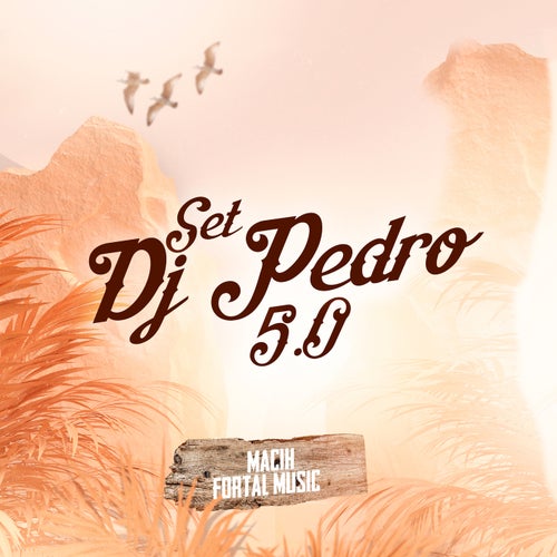 SET DJ Pedro 5.0