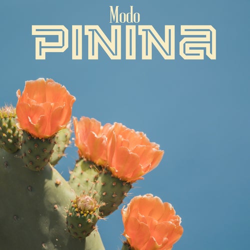 Modo Pinina