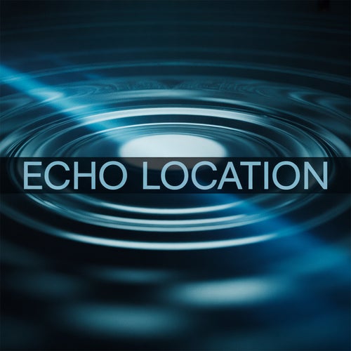 Echo Location