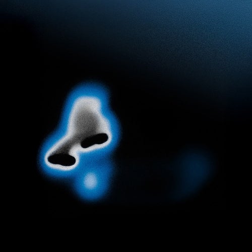 Scale d'amianto