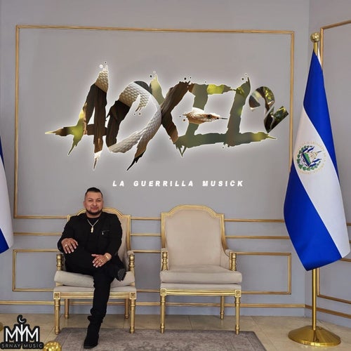 Acxel 2