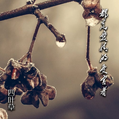 都是愛情的受害者