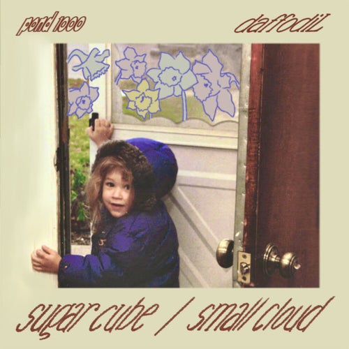 sugar cube / small cloud
