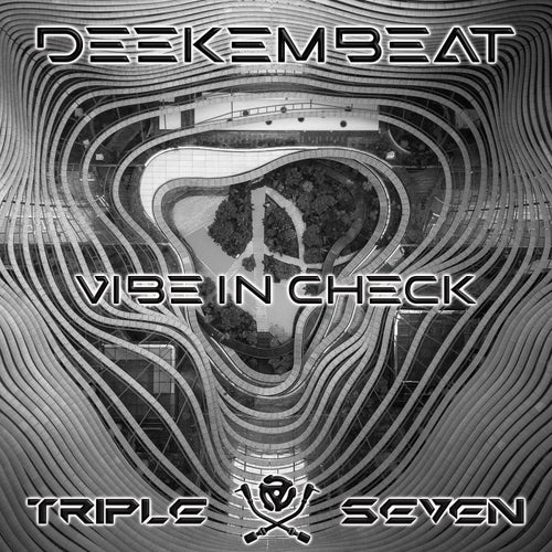 Vibe In Check