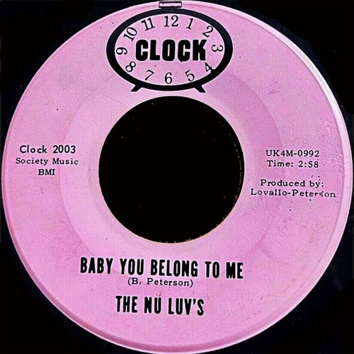 Hello Lover (Goodbye Friend) / Baby You Belong To Me