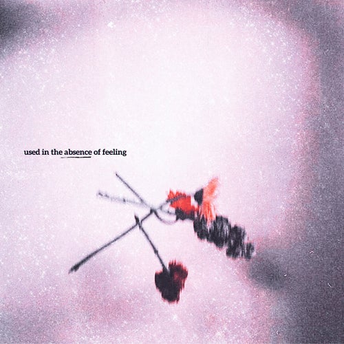Release of the week