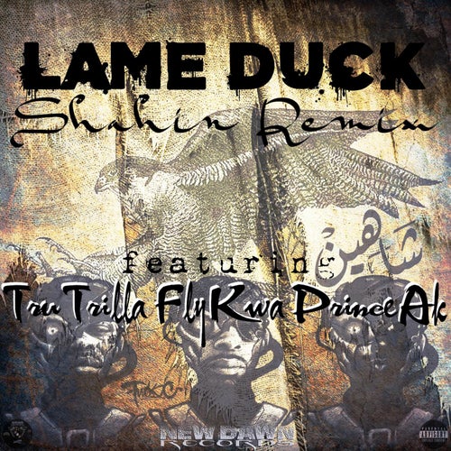 Lame Duck (Shahin Remix)