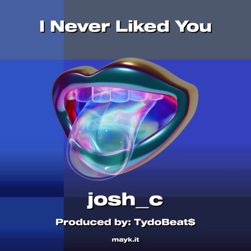 I Never Liked You