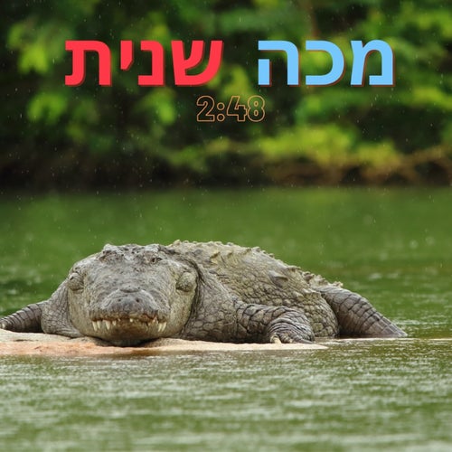 מכה שנית