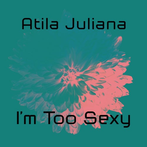 I'm Too Sexy