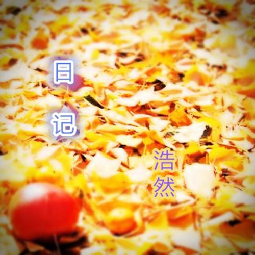 日記